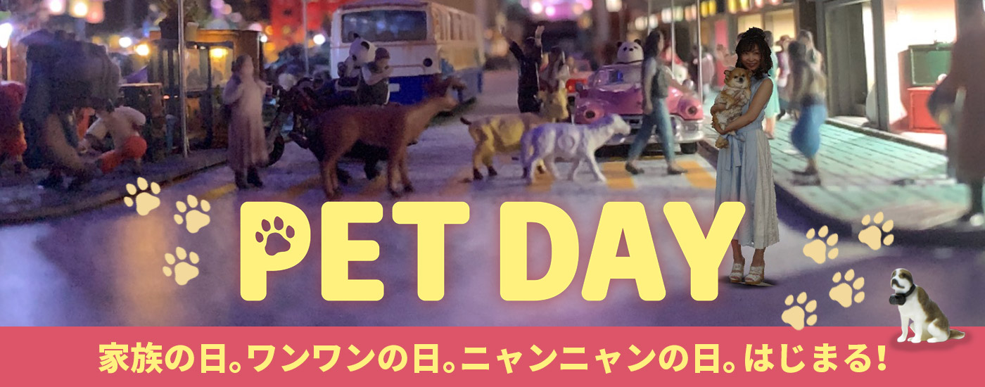 pet day