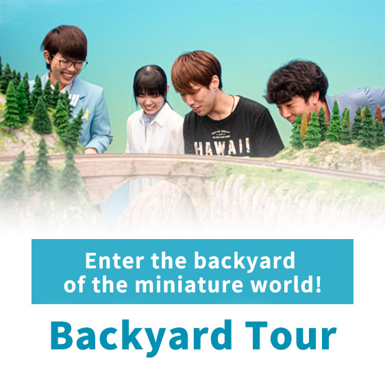 A VIP tour to enjoy the miniature world up close